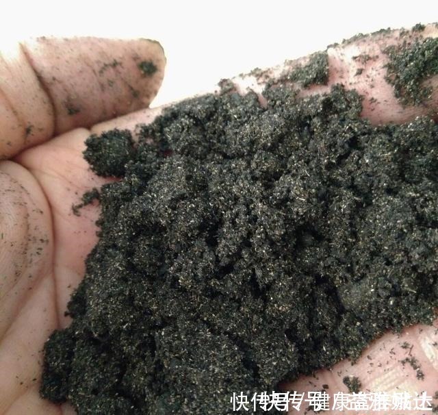 腐叶土|家庭养花，土从哪里来3个方法，不花一分钱，就能自制营养土了！
