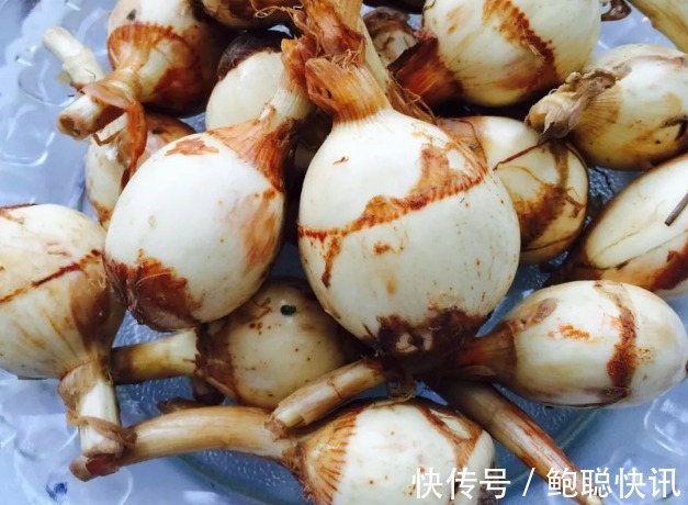 食物|在孕期,有些食物会损害孕妇身体,影响宝宝发育,孕妇别任性