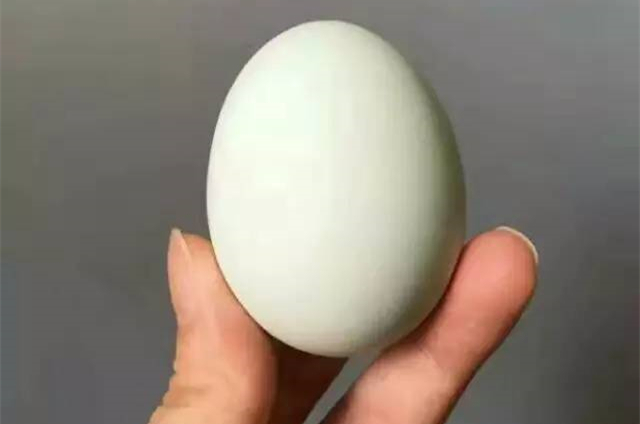 湿气|怎样祛眼袋中医还真有办法,支你3招,一招比一招强,女性要看