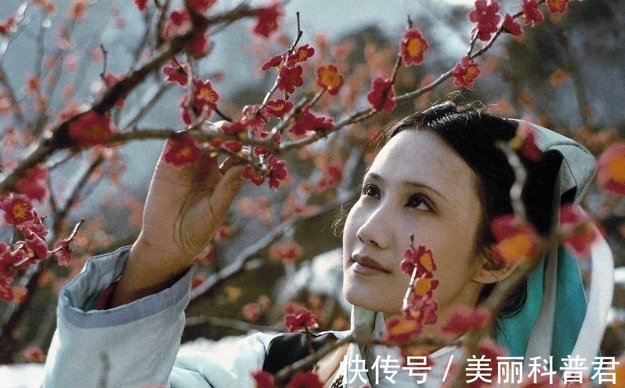 妙玉@红楼梦:妙玉捧给贾母的成窑五彩小盖钟,到底有多贵重?