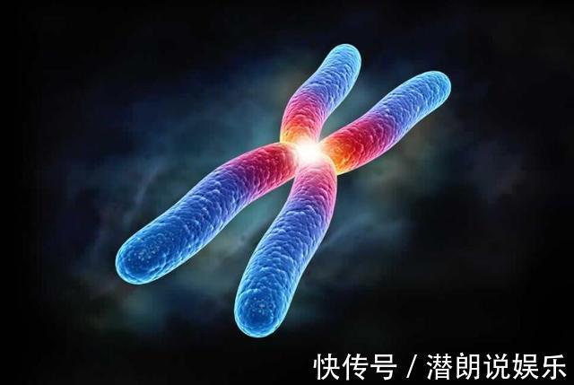 家族|娃和爸妈长得一样算啥祖孙三代共用一张脸见过吗独霸家族基因