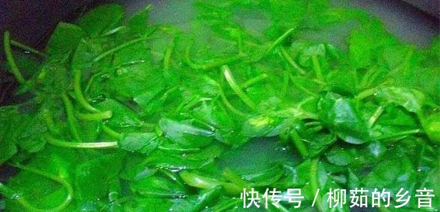 凉拌豌豆苗|“脂肪小杀手”,好吃美味,让你在吃的同时,轻轻松松瘦下来!