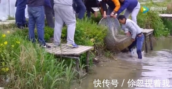 奇人|男子钓到200斤大鱼，众人帮忙捞上岸，看着让人羡慕