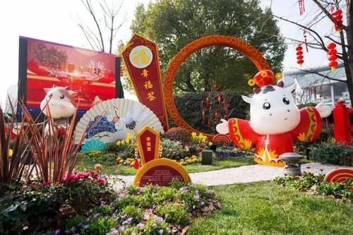 老年|咔嚓，来一张全家福！杭州新春高颜值拍照打卡地大搜罗