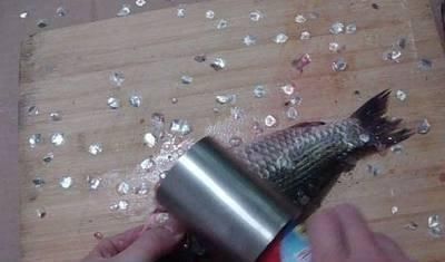 刮鱼鳞时,鱼鳞到处飞?只需一个保鲜袋,快速去鳞不乱飞,特干净