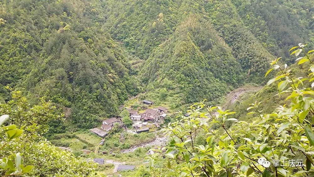 索道|荒废的索道——“守山人”的“共富”逐梦印记