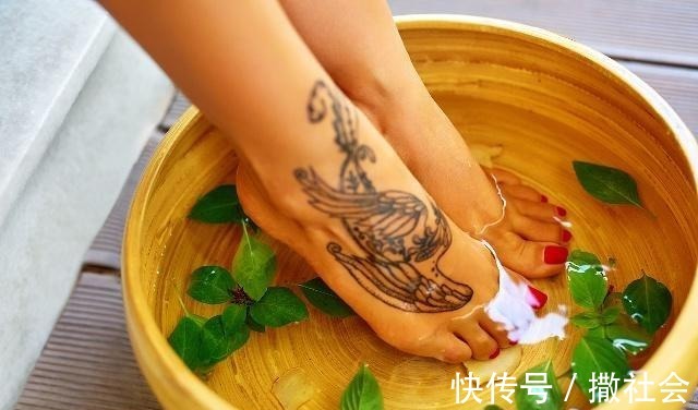 艾叶|睡前泡脚,加一把“艾叶”,身体的这3个变化,让人“意想不到”