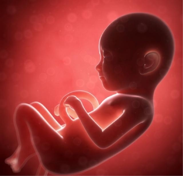 脐带|女性在孕期做这个动作,就会造成胎儿脐带绕颈,是真的吗