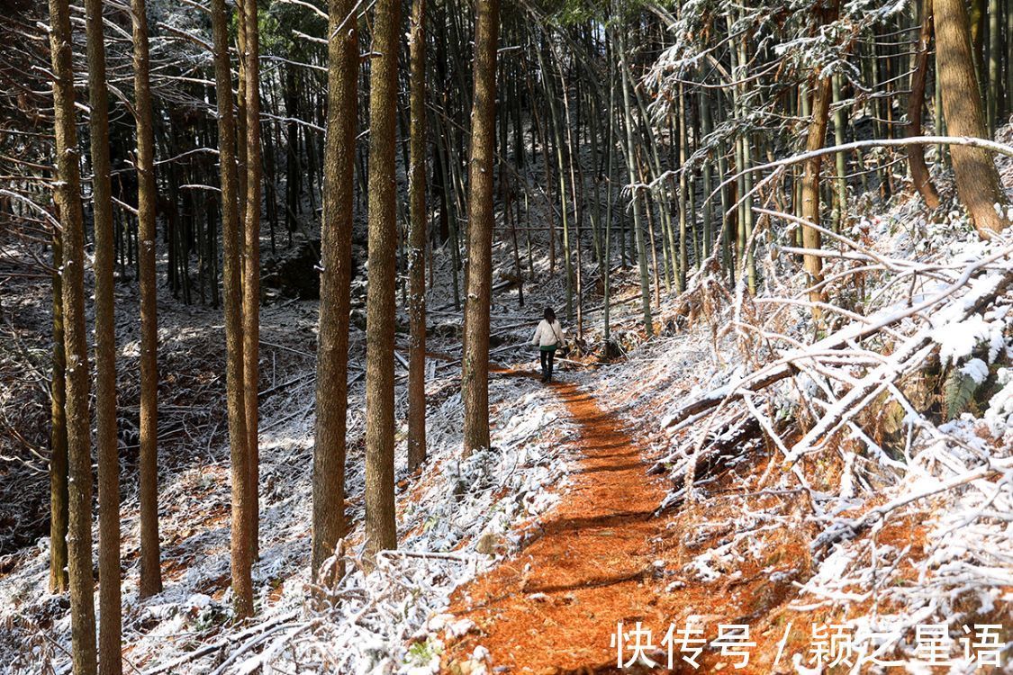 同伴|避而远之去赏雪，意外闯入童话路，现实版白雪公主