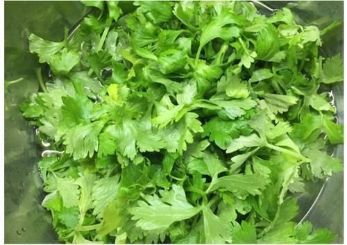 芹菜杆|吃芹菜为什么不吃叶子?其中的原因你知道吗?为了健康,了解下