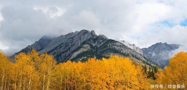 不该被忽视的旅游景点，墨西哥蝴蝶谷，可以去看看