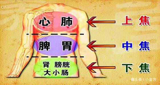 六腑|中医总是说“三焦不通”,三焦到底是指什么如何打通三焦