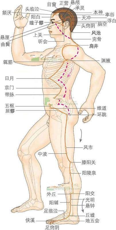 每天没事拍两拍腿吧，脂肪减少了，血糖也更稳了