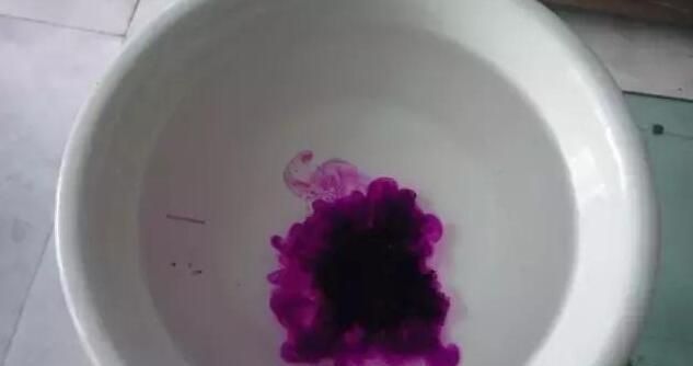 植物|刚买回来的多肉植物要注意