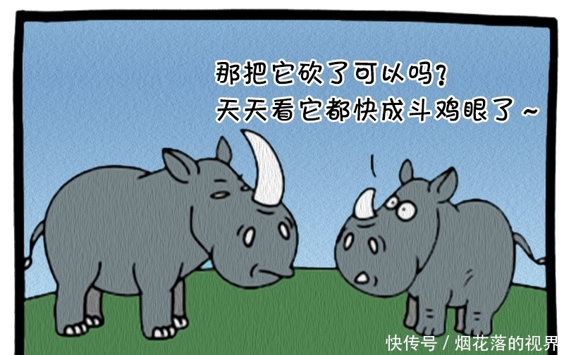 儿子|恶搞漫画：犀牛爸爸与犀牛儿子