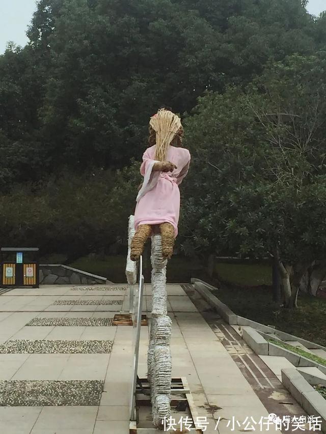 视频号|“现在人网购的审美有多奇葩？？”哈哈哈哈哈真的离了个大谱