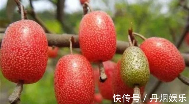 营养物质|女性想要身体好常吃四种食物,美容护肤,排毒清肠,早知早好