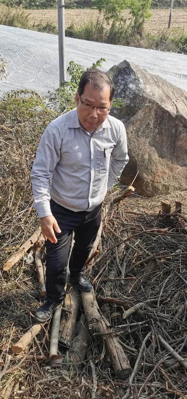 春日再游香山（作者：漳浦 宽心）