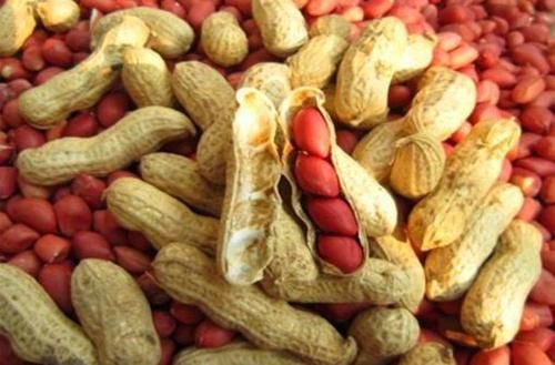 花生|长寿老人爱吃三种食物,排毒养颜、延缓衰老,身体棒棒哒!