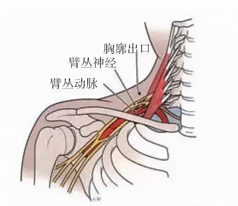 受压|手臂酸麻，不一定都是颈椎病惹的祸