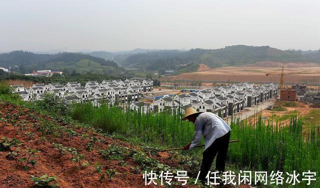 土地|农村公共用地日渐减少，学校、水塘等被违规占用，如何解决