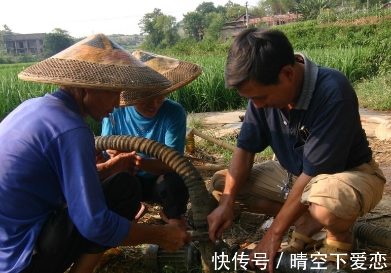 那个男人 扇了小姑子两耳光，我的婚姻散场了