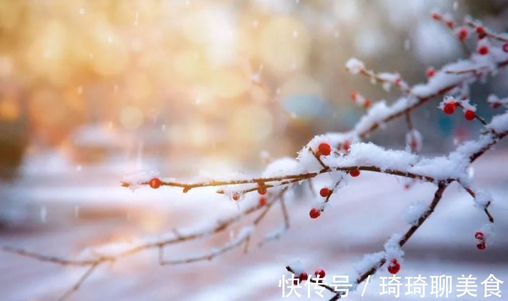 纳兰容若!这9首咏雪诗词,不带一个雪字,却写尽雪之美!叹为观止