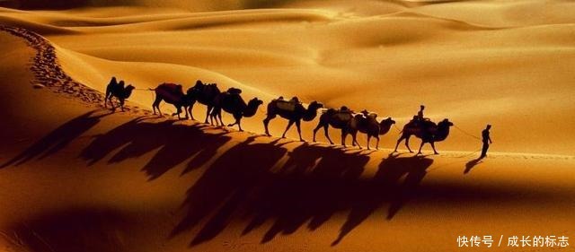 中国|外国商人从中国偷走几只虫子,令中国损失百亿