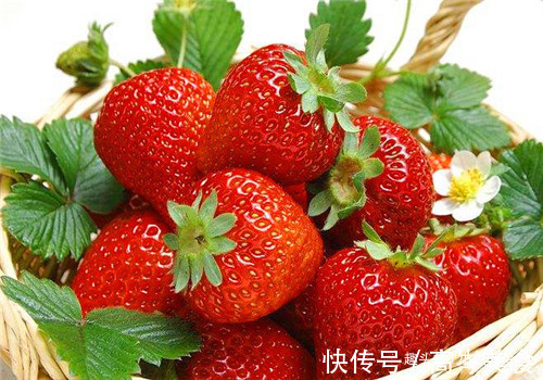 猪肝|想长寿,4种食物每天吃点,补水润肤,养颜护肤,排毒抗衰又瘦身