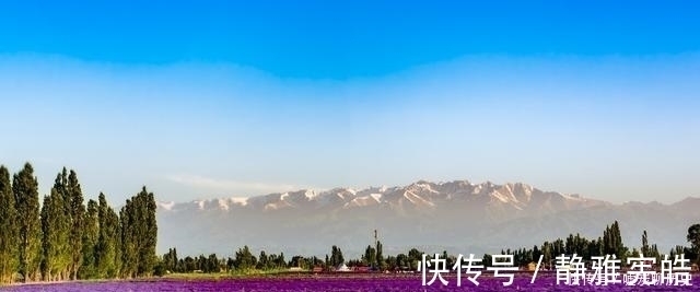 孔子@庄子:有一种失传的“混沌氏之术”,诚到极致,没有做不成的事