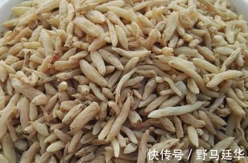 紫菜|高血糖不用怕,经常服用这些食物,可有效降低血糖,远离糖尿病