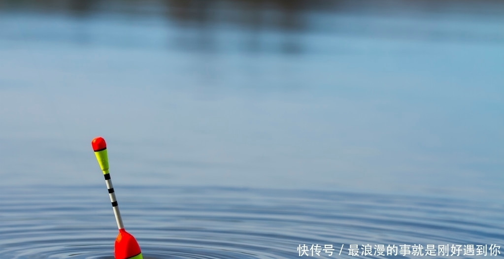 水深|为什么太阳出来后,鱼就停口了?解析温度升高水中缺氧的作钓技巧