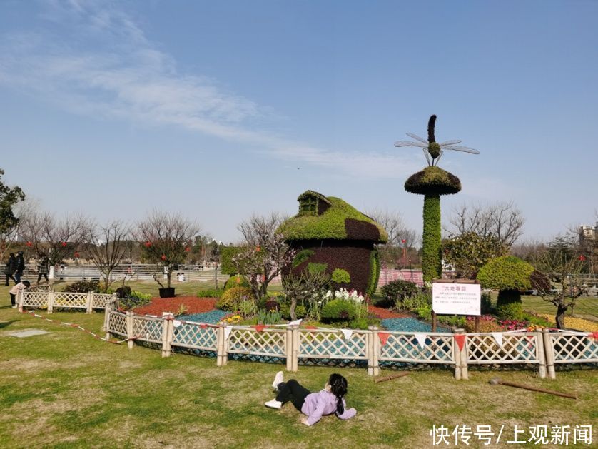 错过|快来一起赏“梅”景！去年没约成，今年别错过啦