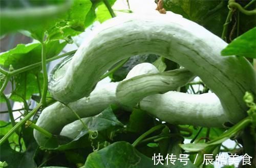 医生|肝脏很重要,医生:常吃3种食物,你的肝到老也不生病