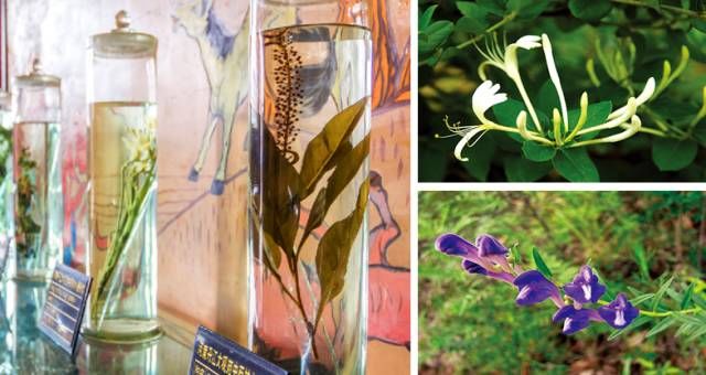 开启|读万卷书,行万里路 快来丹江大观苑开启你的研学之旅