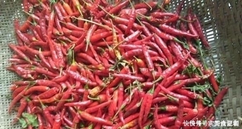 越来越多的人得了甲状腺结节,多吃“天然散结药”,结节不来打扰