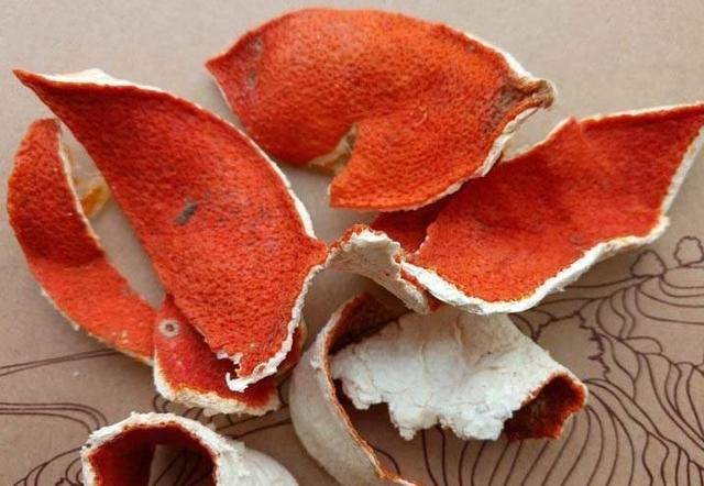 “嘴馋”的蟹爪兰,就喜欢2种酸,浇一点蹭蹭长,花期早开花