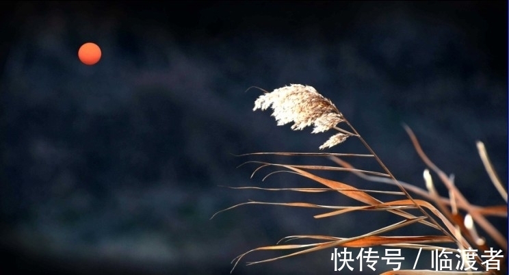 这首诗@诗海有遗珠，辽金元三朝有好诗，四首绝句有大境界，没读过太可惜