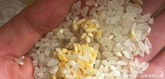 卫生间里这东西,家家户户都有,但它会产生黄曲霉,以后别用了