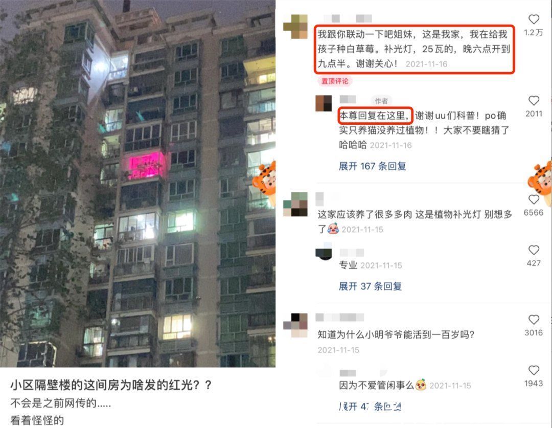 柯南|当我们谈论社区时，到底在谈论什么？