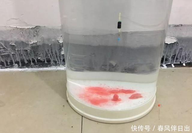 一钩触底一钩悬真的好吗?很多人弄错了,野钓这样调漂才高效