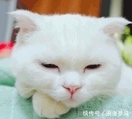 |十条笑话：你虽然被嫂子打了，但也没必要离婚啊