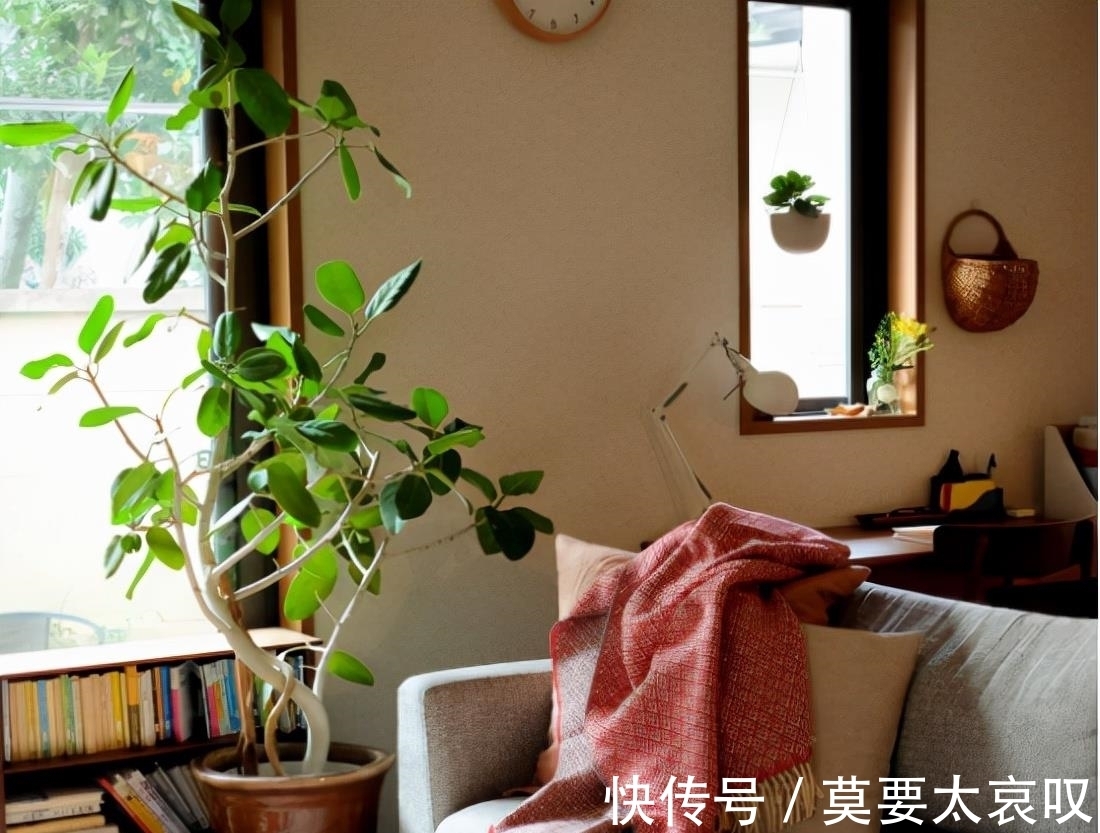 一地鸡毛|60岁独居太太分享的冬季家居,暖色系布置,房间收纳精致又美观