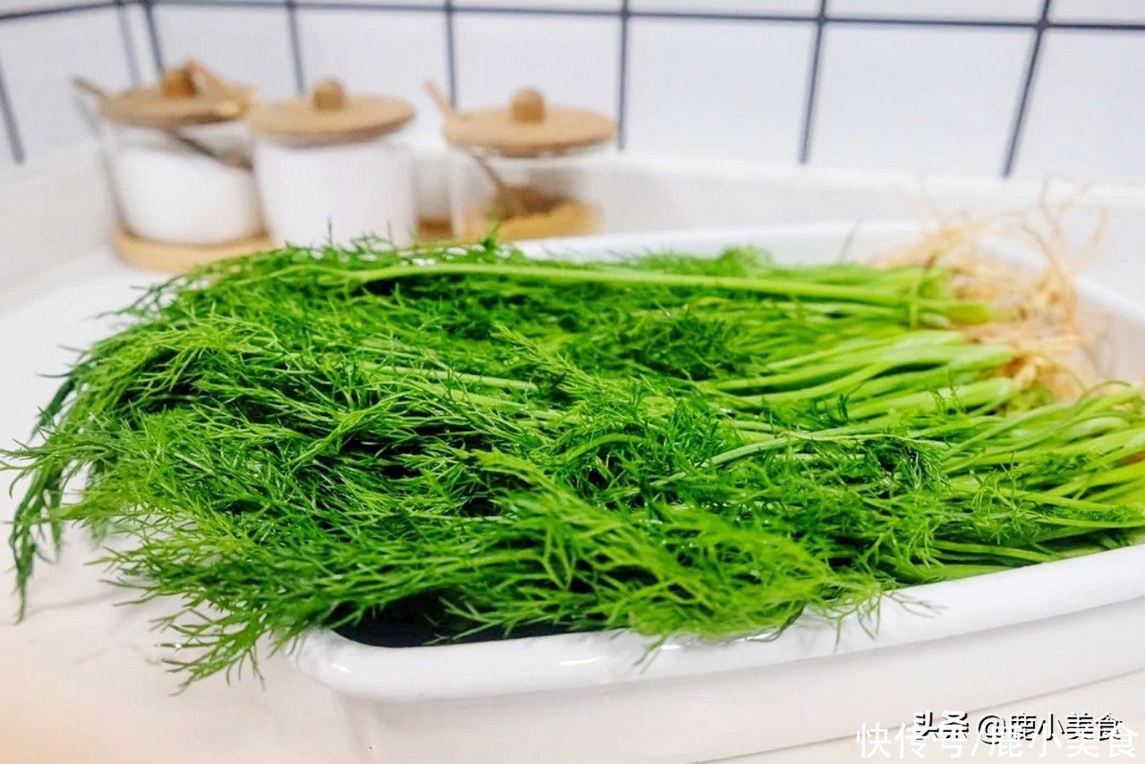 猪肉馅饺子|三伏天,我家最爱用这“苗”包饺子,健脾益气和胃,营养清鲜多汁