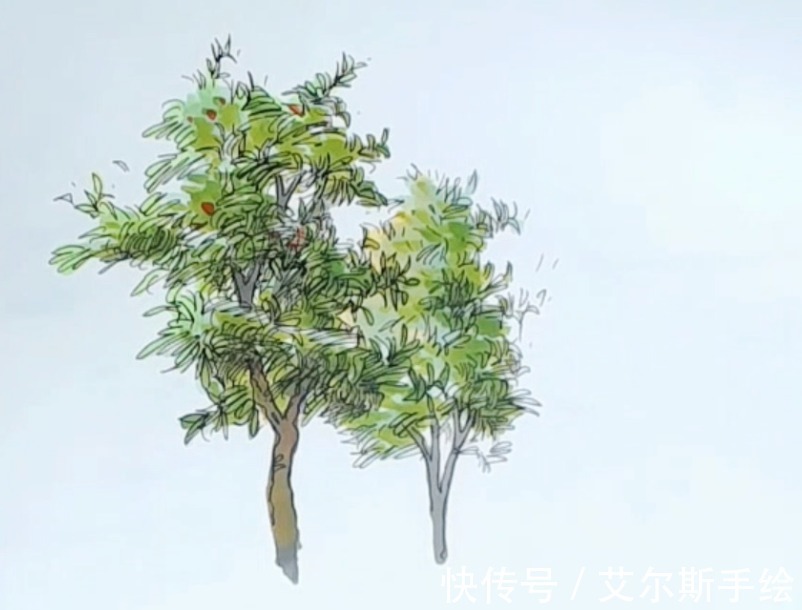 颜色|「艾尔斯马克绘」用马克笔如何画出栩栩如生的植物呢？