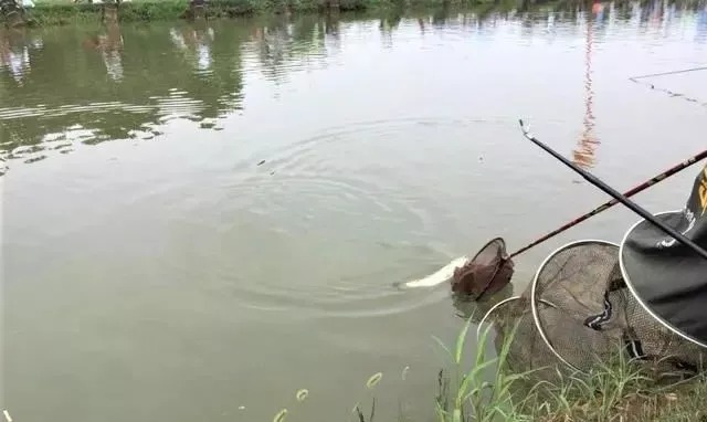 冬季哪些天气能钓鱼,哪些天气钓不到鱼?简单2点,让你收获满满