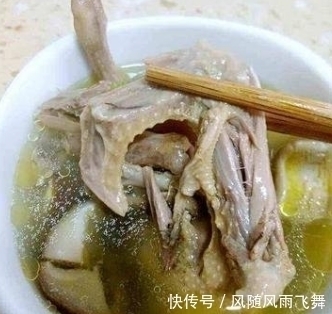 营养|一鸽胜四鸡,有条件要多吃,教你这样炖汤,肉质鲜香嫩滑,营养高