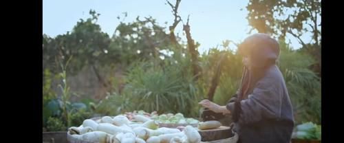  李子柒做泡菜遭韩国网友围攻：泡菜是我们韩国人吃的吧？