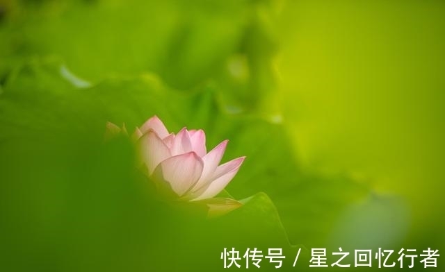 厄运|三天后，好运到来，存款翻番，贵人指引，人生圆满