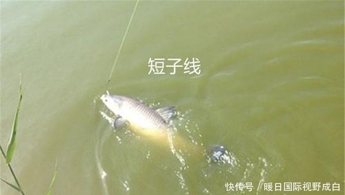 决定子线长短的原则!